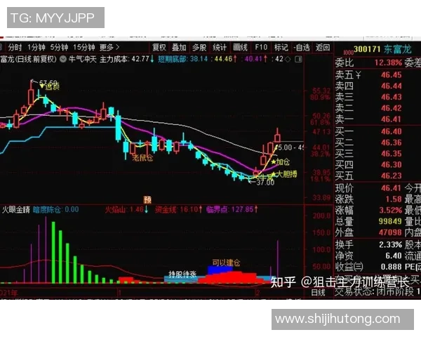 杭州羽毛球队在洲际杯中的技术表现分析与点评